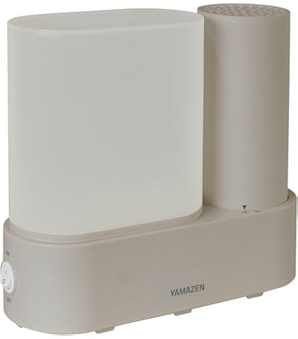 スチーム式加湿器 ベージュ 楽天市場】【20%ポイント還元 9/11 9:59迄】 加湿器 スチーム式